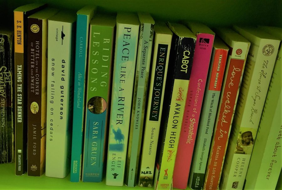 Books of all genres are included on Miss. Gables bookshelves in her room. 