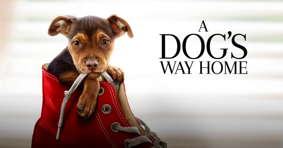 A Dogs Way Home was released January 11, 2019. 
