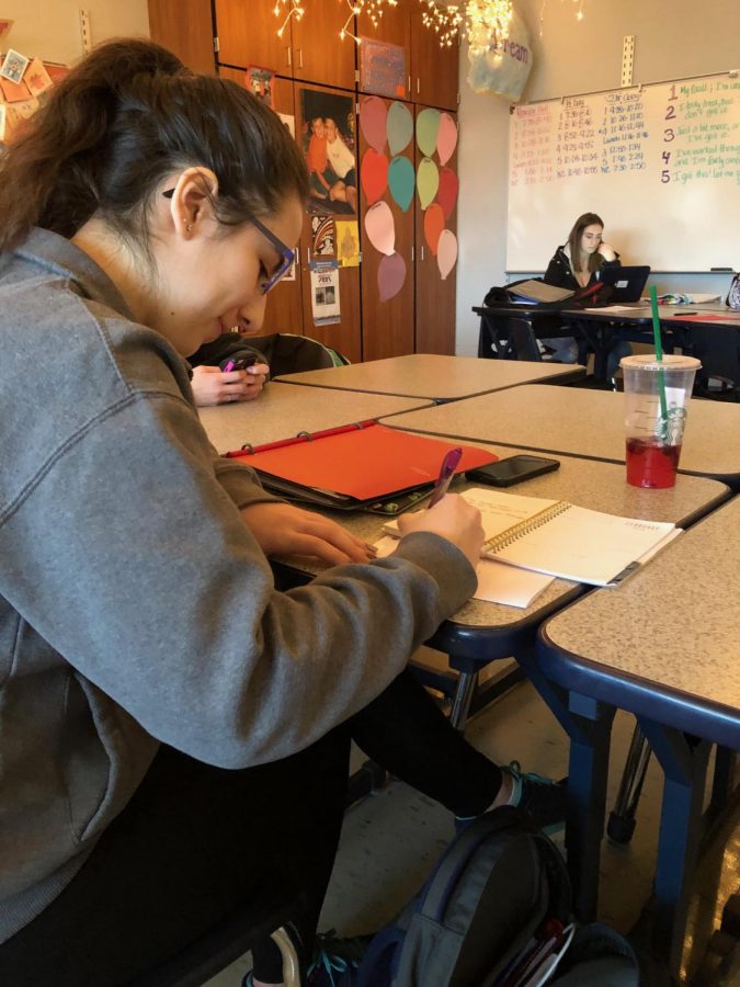 Senior Bella Fredo balances her workload by planning out assignments and finding time to complete them. Like many students, Fredo utilizes free time in other classes to complete her schoolwork making her evenings more available for work or activites. 