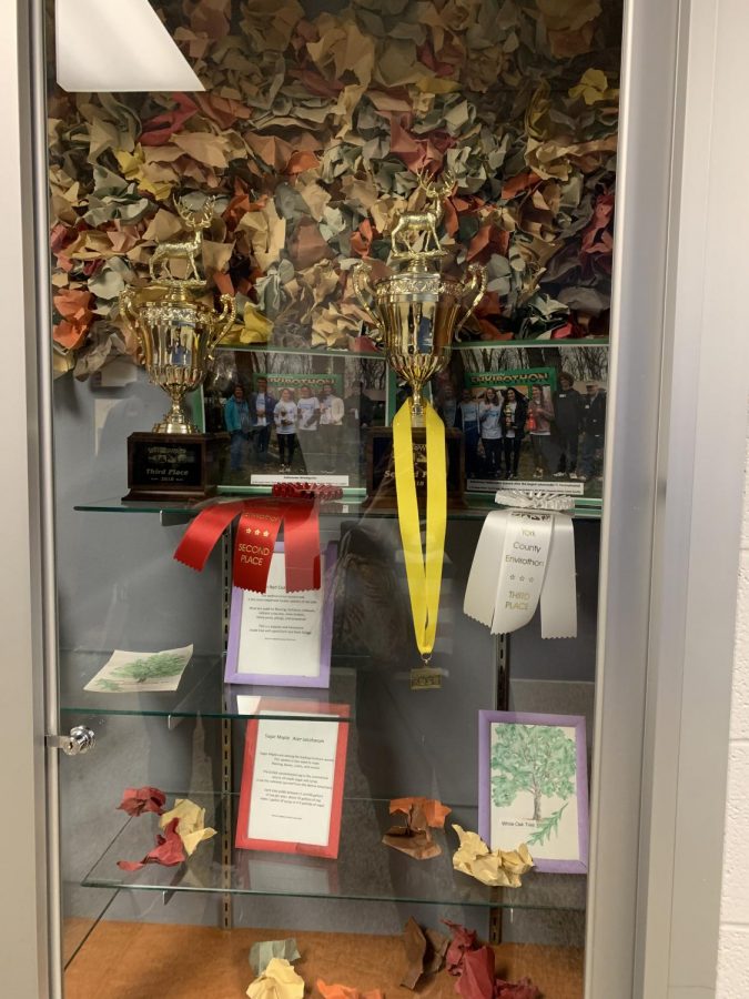 The Envirothon display case houses all of the trophies, medals, and ribbons earned by the team for their hard work during competitions. Pictured: two ribbons, two trophies, and one medal.