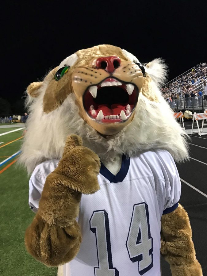 Scenes from the 2019 Dallastown Homecoming football game vs. Spring Grove. The Wildcats won 29-20.