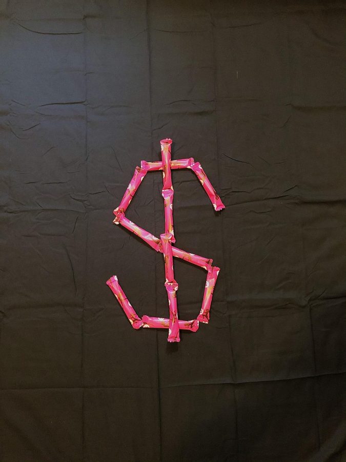 Dollar Sign Made Out of Tampons