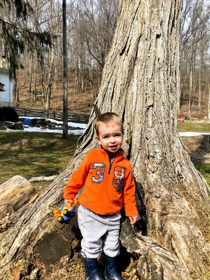Mr. Zelgers 2-year-old son, Nathaniel, by a tree, wearing a orange shirt with 38 labeled on it, he is also holding a truck.