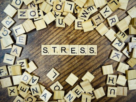 Stress sometimes consumes students and it is important to know how to cope. Dallastown also has a Mental Health Awareness Club that does just as the name implies: raises awareness about mental health.