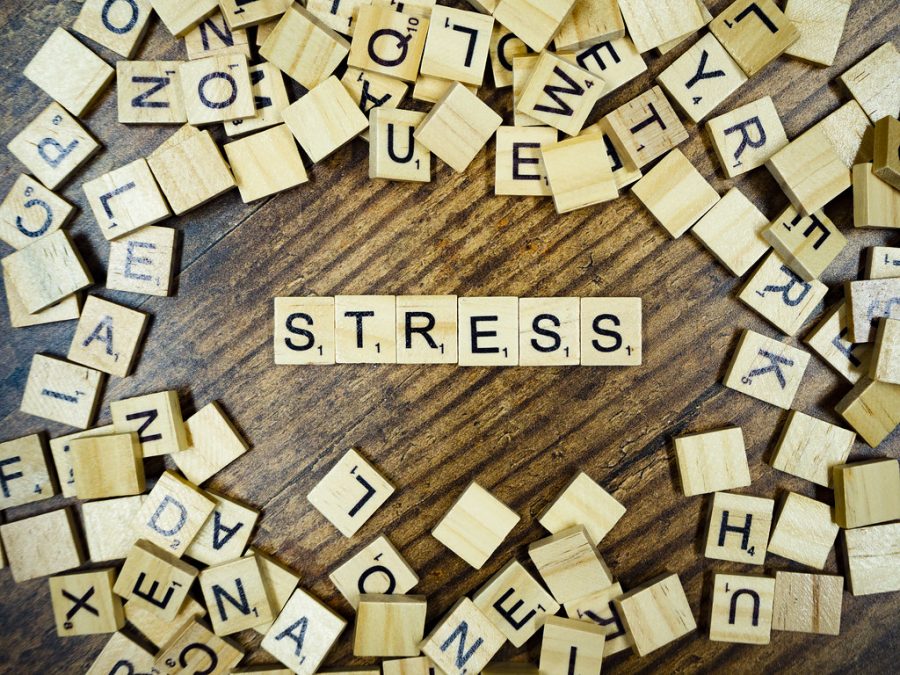 Stress+sometimes+consumes+students+and+it+is+important+to+know+how+to+cope.+Dallastown+also+has+a+Mental+Health+Awareness+Club+that+does+just+as+the+name+implies%3A+raises+awareness+about+mental+health.