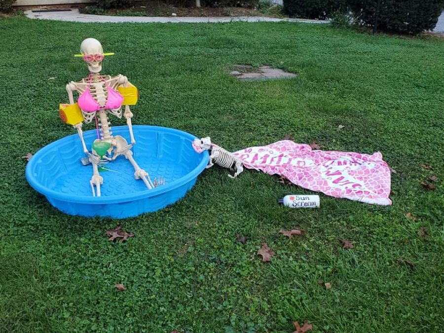 Dallastown resident Andrea Meeks and her family spent the month of October creating unique displays of Hallie the Skeleton and her dog Bones in their front yard. The displays caught the attention of passers-by and became a hit on social media. 