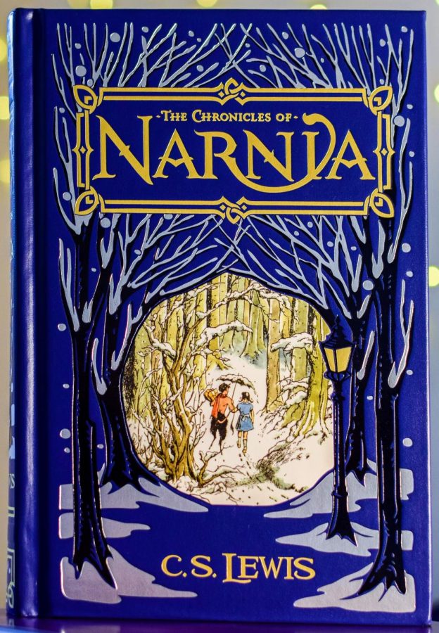 The Lion, the Witch and the Wardrobe by C.S. Lewis is quite possibly the greatest childrens story of all time. 