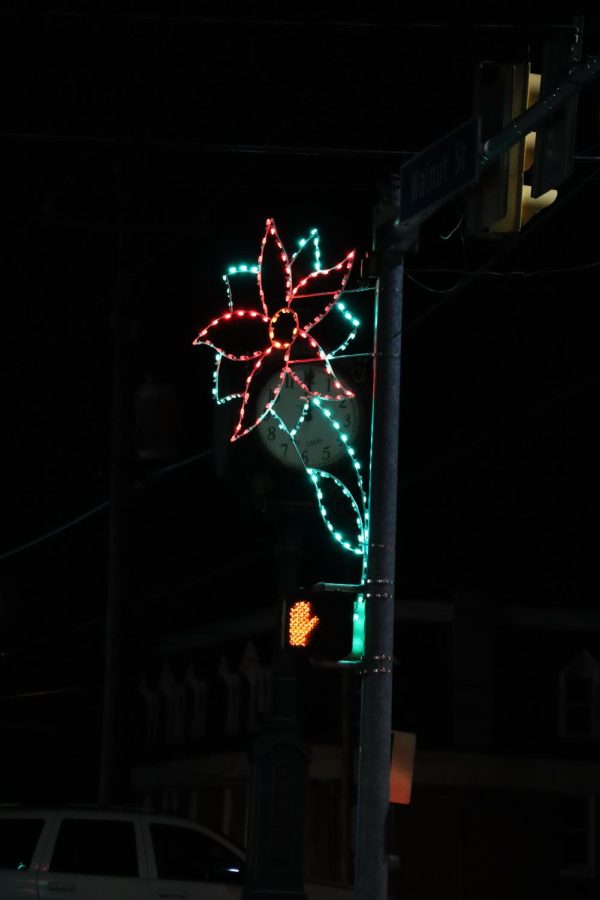 The poinsettias are the boroughs new colorful red and green lights that can only be found in the main square of Dallastown.