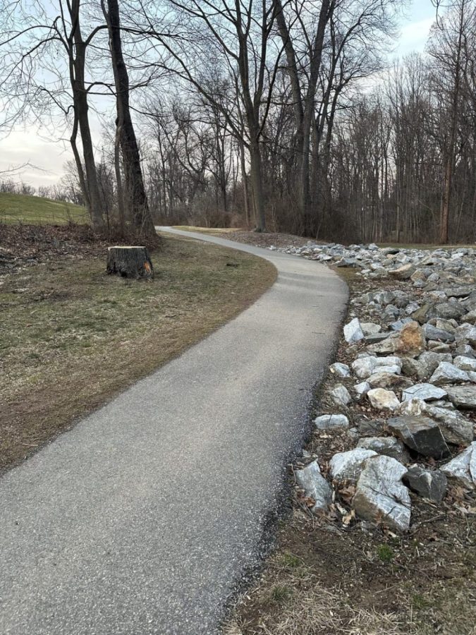 There are many great places to walk in York County, including York Township Park which is a 1.2 mile loop.