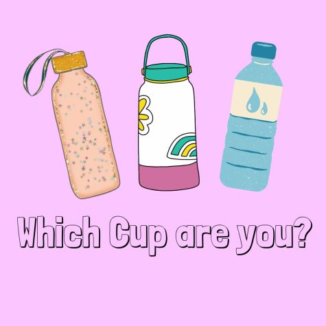 Which Cup Are You?