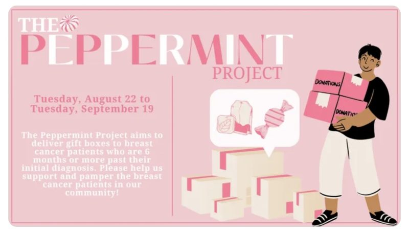 Sophomore Anika Ray created The Peppermint Project as a way to provide support to those battling breast cancer. 