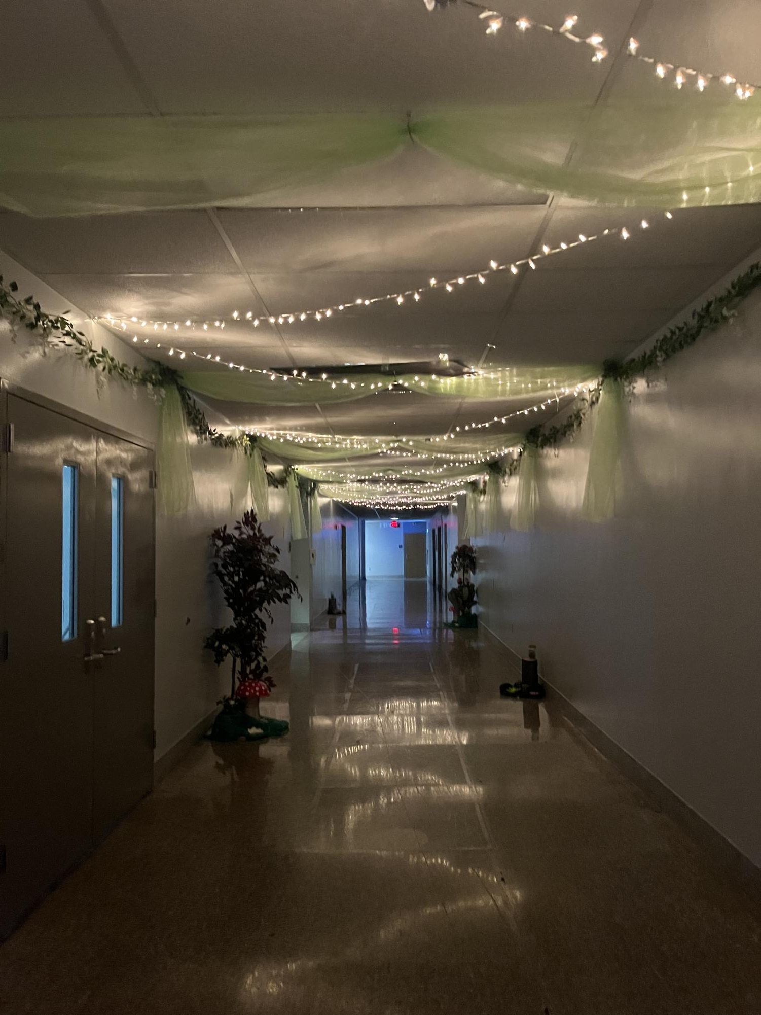 Student Council decorated the hallways with vines and twinkle lights to accommodate the theme: Echanted Forest.