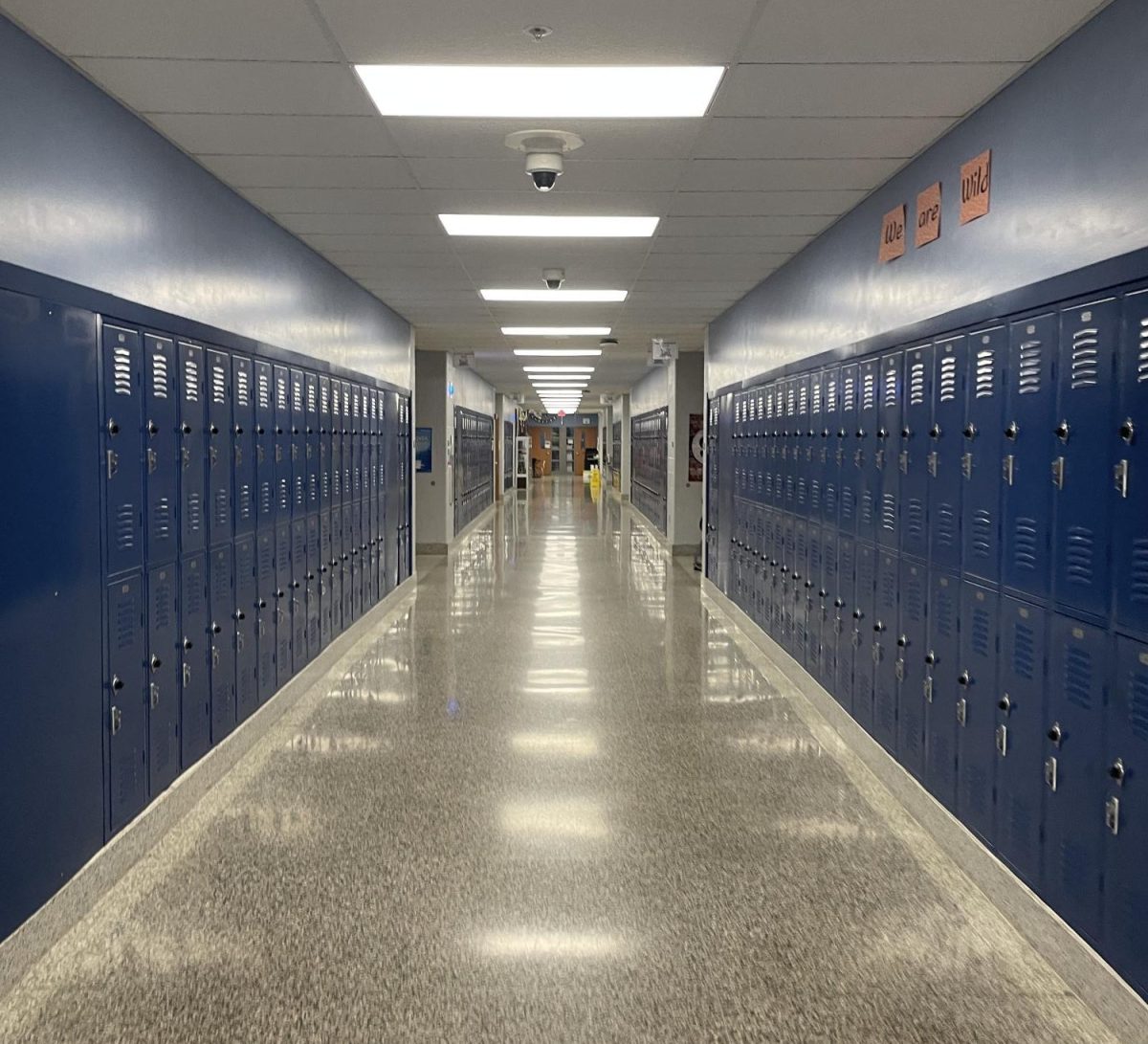 While there is a navy blue color for the lockers, the walls above and the floor below remain a dull gray. Posters do bring a little color, but maybe it's time for a change. 