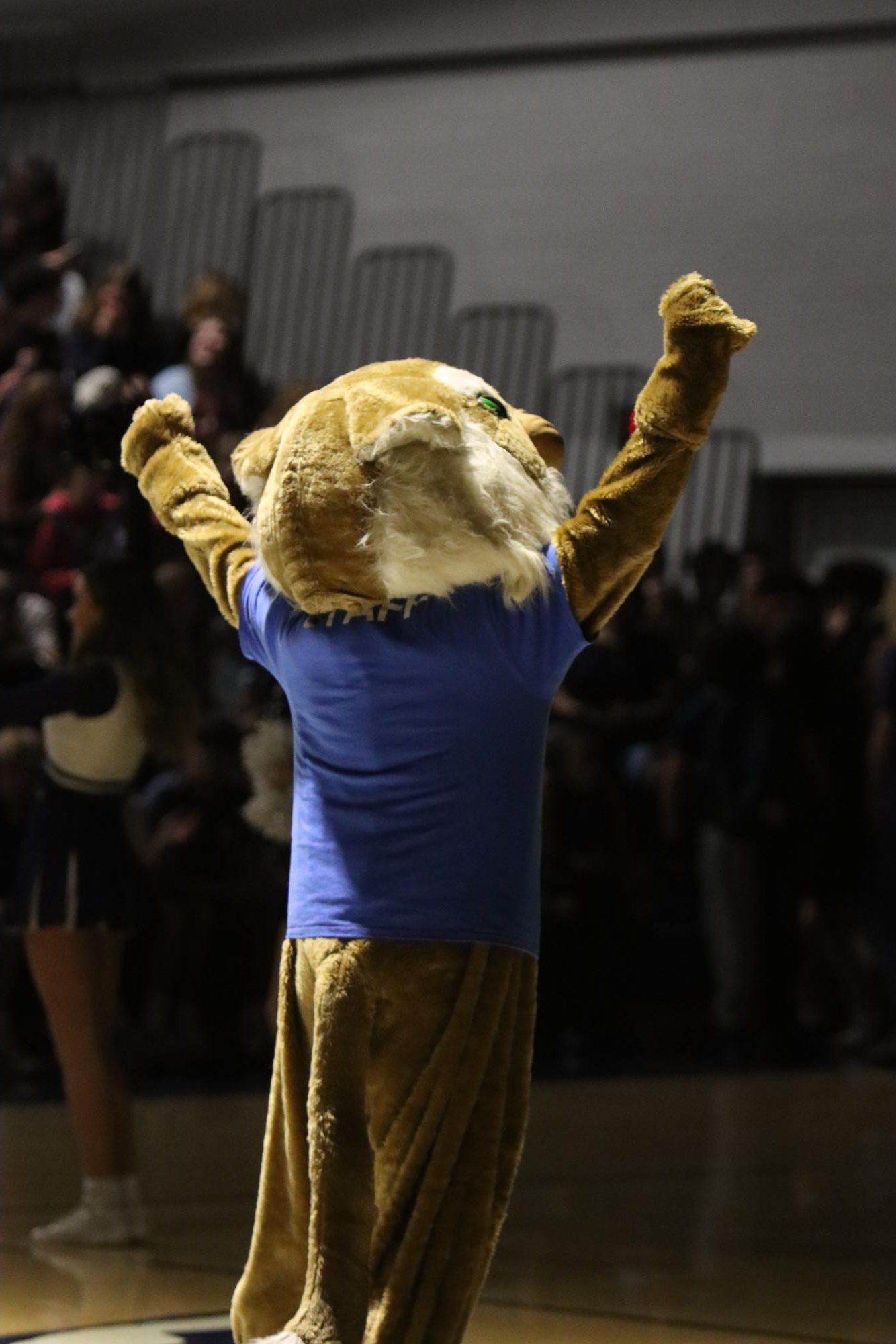 Willy the Wildcat mascot initiating cheers.