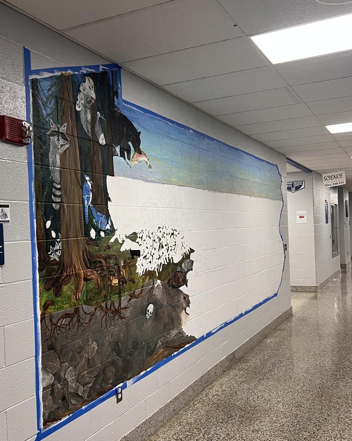 This mural in the science hallway showing Pennsylvania wildlife is being painted by Jennileigh Krebs, a former student and current cafeteria employee. 