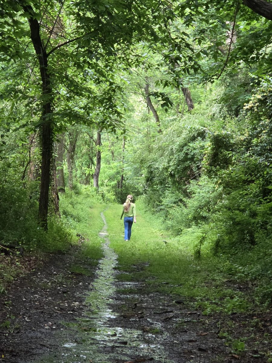 A student walks a wooded path, symbolizing the uncertain but hopeful journey through high school and beyond. 