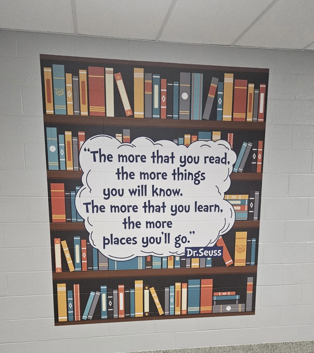 Vinyl murals were displayed in various areas of the school to brighten up the hallways. 
 
