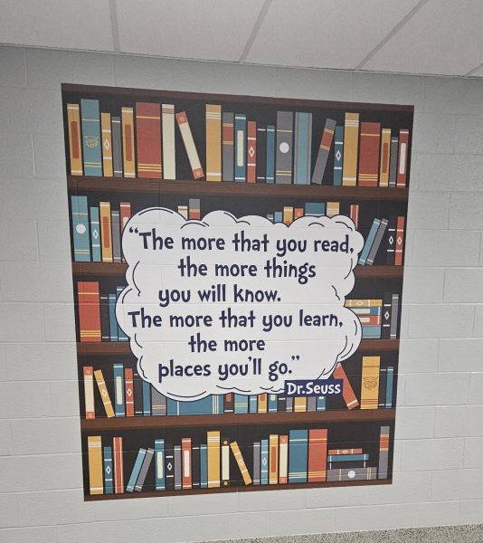 Vinyl murals were displayed in various areas of the school to brighten up the hallways. 
 