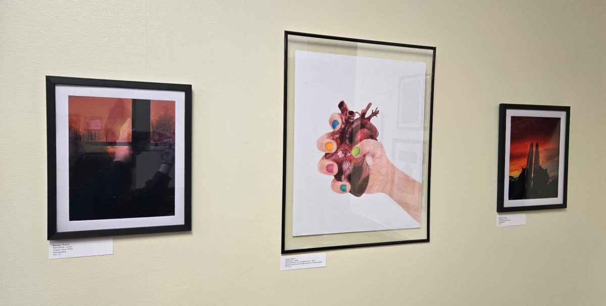 Dallastown students showed a variety of art work at the YCASE showcase. 